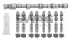 SWAG 40 92 4550 Camshaft Kit